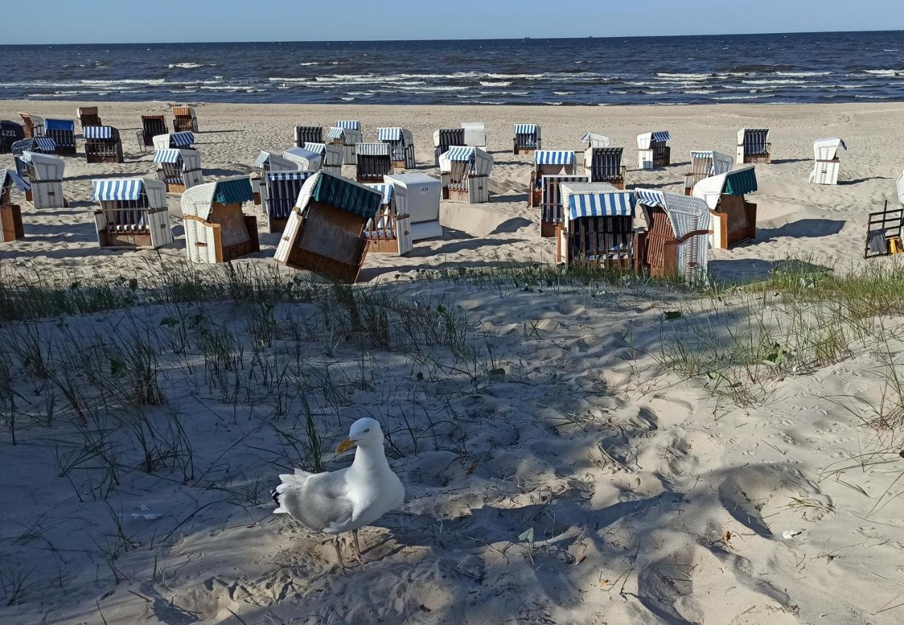 Ferienwohnung Strand25 Trassenheide Exterior foto
